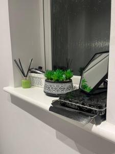 a white shelf with plants and a laptop on it at Aycliffe Home Away From Home A1 in Newton Aycliffe