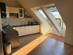 Kuchyň nebo kuchyňský kout v ubytování Apartmán 301 VOLT
