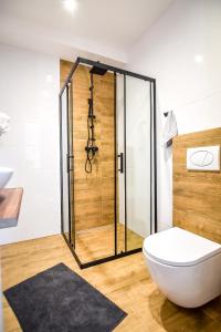 a bathroom with a shower and a toilet at Apartament Magiczny Widok z widokiem na góry in Poronin