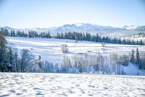 a snow covered field with trees and mountains in the background at Apartament Magiczny Widok z widokiem na góry in Poronin