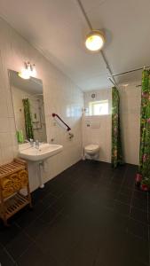 een badkamer met een wastafel, een toilet en een spiegel bij De Sternhof in Zeewolde