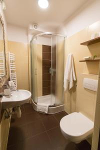 a bathroom with a shower and a toilet and a sink at Willa Arga in Piwniczna-Zdrój