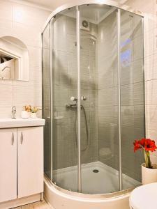 a shower with a glass door in a bathroom at Mazurska Chatka in Srokowo +42 photos
