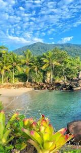 uma vista para uma praia com palmeiras e água em Chalé Mirante do Félix - Suíte Laranja em Ubatuba