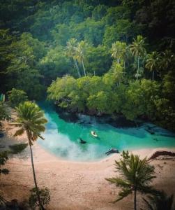 una vista aérea de una playa con agua azul y palmeras en Típica casa dominicana a 12 minutos de la playa, en Las Galeras