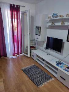 TV a/nebo společenská místnost v ubytování Apartment Nirvana