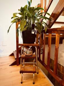 a plant in a pot on a wooden cart at Casa vacanze Santa Marta in Barletta