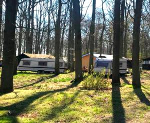 two rvs parked in a field with trees at WOMO STELLPLATZ Wald & Sand DIREKT am STRAND in Dranske