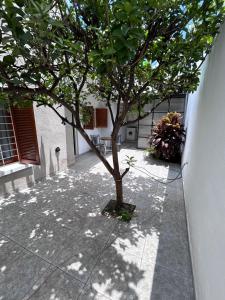 a tree on a sidewalk next to a building at Casa YO in Cordoba