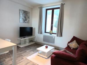a living room with a couch and a tv at Appartement Les Iris, au calme, proche du centre in Remiremont