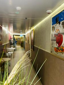 Fotografie z fotogalerie ubytování Amdar Hostel v destinaci Eilat