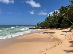 a sandy beach with palm trees and the ocean at Machan Villa in Tangalle