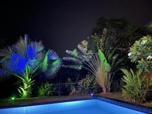 Πισίνα στο ή κοντά στο Machan Villa +24 φωτογραφίες