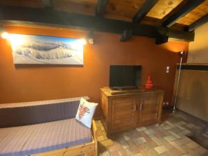1 dormitorio con 1 cama y TV en un armario de madera en LA POMME DE PIN 1 Appartement avec terrasse, en La Bresse