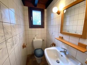 a bathroom with a toilet and a sink and a mirror at LA POMME DE PIN 1 Appartement avec terrasse in La Bresse +13 photos