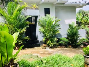 a house with plants in front of it at Nasareth Villa Unawatuna in Galle