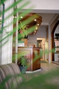 蒙特維多的住宿－Coliving Med by Hotel Mediterràneo，大厅的柜台上摆放着盆栽植物