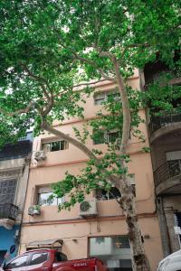 uma árvore em frente a um edifício em Coliving Med by Hotel Mediterràneo em Montevidéu
