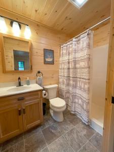 a bathroom with a toilet and a sink and a shower at Blissful Bear in Old Forge