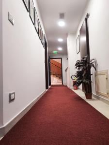 un corridoio con tappeto rosso e corridoio rosso di Guest House Elettra a Siracusa
