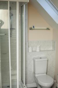 een badkamer met een toilet en een douche bij Avril Warwickshire Home Stay in Nuneaton