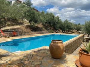 una piscina con un vaso appoggiato su un tavolo accanto a di Haus mit Pool im Olivenhain a Koroni
