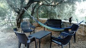 eine Gruppe von Stühlen und eine Hängematte unter einem Baum in der Unterkunft Zacharoula Rooms in Manganítis