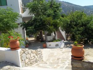 a house with plants in pots in front of it at Zacharoula Rooms in Manganítis