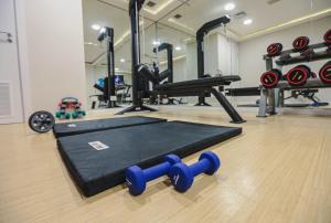 Fitness centar i/ili fitness sadržaji u objektu Paseo La Galería Hotel & Suites