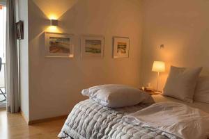 Imagen de la galería de Exclusive Lakeside Apartment with Amazing View, en Gambarogno