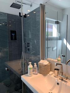 y baño con lavabo y ducha acristalada. en Exclusive Lakeside Apartment with Amazing View, en Gambarogno