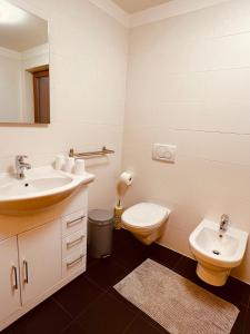 a bathroom with a sink and a toilet at Appartement Alois in Bressanone +7 photos
