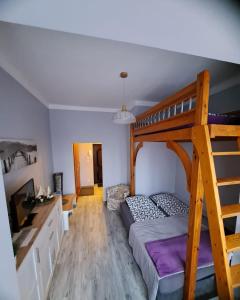a bedroom with a bunk bed with a ladder at Niezależny apartament przy Parku Zdrojowym in Kudowa-Zdrój