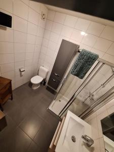 een badkamer met een toilet, een wastafel en een spiegel bij Le charme des pierres in Ohey