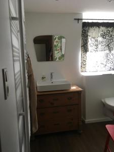 uma casa de banho com um lavatório e um espelho em Charmante Unterkunft ohne Küche in Niestetal bei Kassel em Niestetal