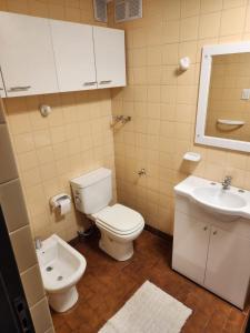 a bathroom with a toilet and a sink at Tango 07 in San Fernando del Valle de Catamarca