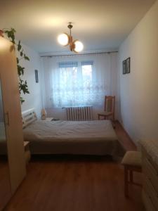 um quarto com uma cama e uma janela em Mieszkanie w Centrum em Szczytno