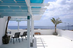 un chien assis sur une terrasse avec vue sur l'océan dans l'établissement Rooftop Dreamhouse - 3BR with Seaviews, à Santa Cruz de la Palma