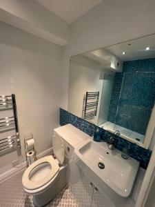 uma casa de banho com um WC, um lavatório e um espelho. em Mildmay Road Apartments em Londres