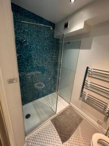 uma cabina de duche em vidro numa casa de banho com WC em Mildmay Road Apartments em Londres