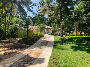 un sentiero attraverso un parco con palme di Queen's Villa a Habaraduwa Central