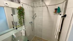 uma casa de banho com um chuveiro e um lavatório. em Zentrale, moderne Wohnung in Graz em Graz