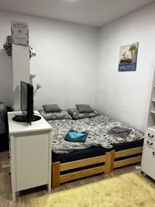 1 dormitorio con 1 cama y escritorio con TV en Cosy private apartment in a family house, en Jirny