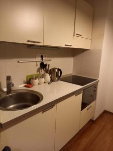 eine Küche mit einer Spüle und einer Arbeitsplatte in der Unterkunft Joker in Budapest