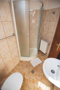 a bathroom with a shower and a toilet and a sink at Balázs Panzió in Corund