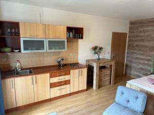 Dapur atau dapur kecil di Apartmán Železná Ruda