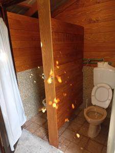 Kamp Seosko domaćinstvo Radman的一间浴室