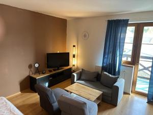 TV a/nebo společenská místnost v ubytování Apartmán Železná Ruda