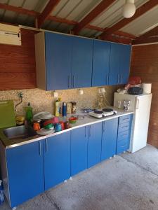 Kamp Seosko domaćinstvo Radman的厨房或小厨房