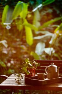 un plateau avec deux tasses et une plante sur une table dans l'établissement The Flying Squirrel Bandhavgarh, à Umariā